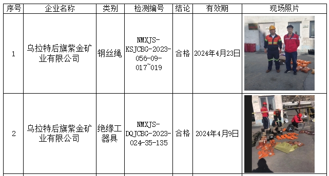 12乌拉特后旗紫金矿业有限公司安全检测2023.11.1.jpg