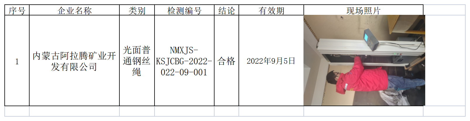 628内蒙古阿拉腾矿业开发有限公司2022.3.22公示.png