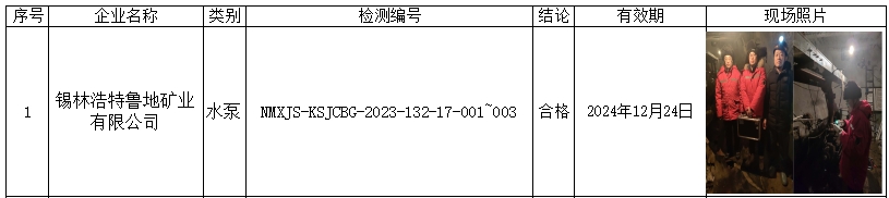 公示 锡林浩特鲁地矿业有限公司 2024.2.2马牧笛.jpg