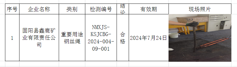 2024.1.26固阳县鑫鹿矿业有限责任公司.png