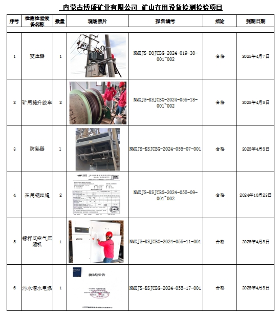 内蒙古博盛矿业有限公司安全检测检验公示.png