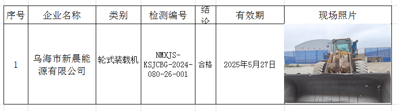 2024.06.06乌海市新晨能源有限公司.jpg