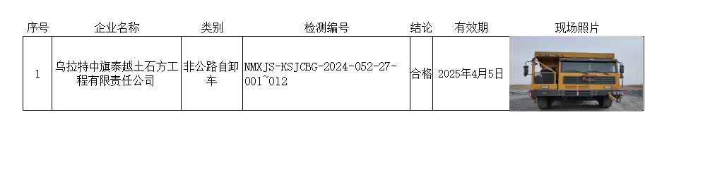 乌拉特中旗泰越土石方工程有限责任公司.jpg
