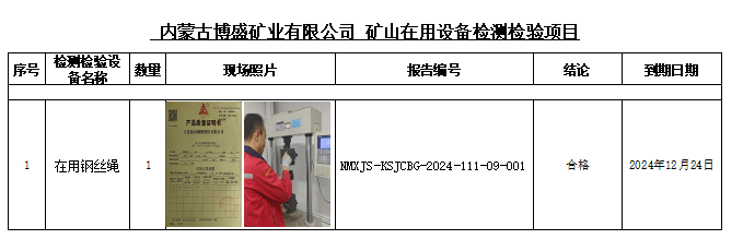 内蒙古博盛矿业有限公司公示.png