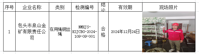 2024.06.27包头市泉山金矿有限责任公司.png