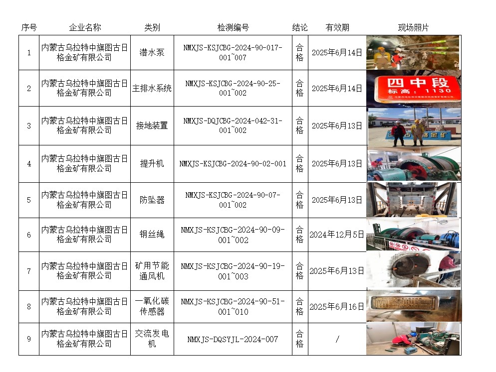 内蒙古乌拉特中旗图古日格金矿有限公司.jpg