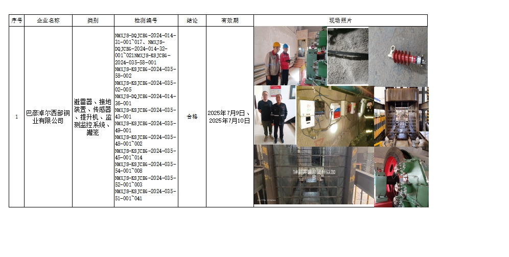 巴彦淖尔西部铜业有限公司.jpg