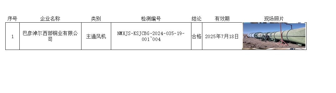 巴彦淖尔西部铜业有限公司.jpg