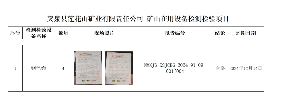 突泉县莲花山矿业有限责任公司公示.jpg