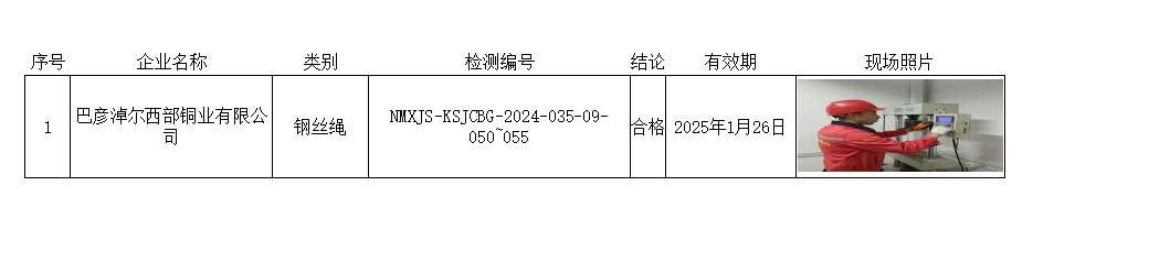 巴彦淖尔西部铜业有限公司.jpg