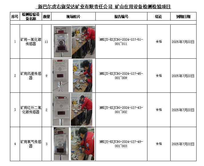新巴尔虎右旗荣达矿业有限责任公司_电气设备检测（11根电缆、26个传感器）.jpg