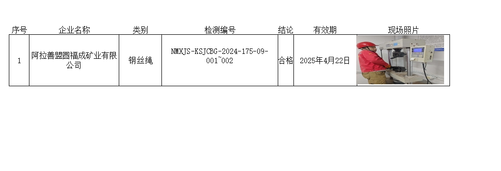 阿拉善盟圆福成矿业有限公司.jpg