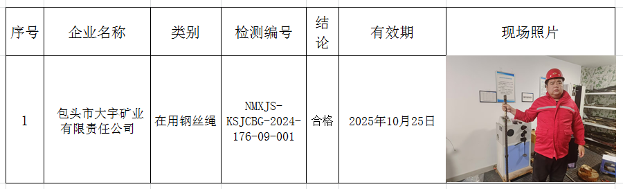2024.10.28包头市大宇矿业有限责任公司.png