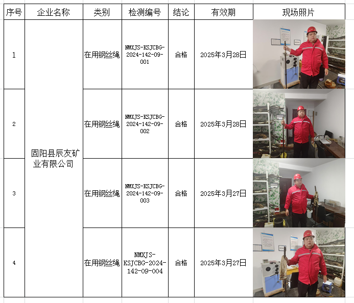 20241008固阳县辰友矿业有限公司.jpg