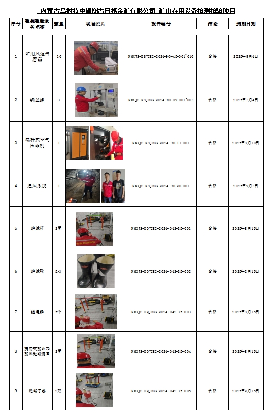内蒙古乌拉特中旗图古日格金矿有限公司公示11.jpg