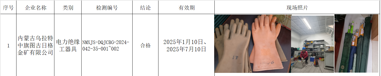 内蒙古乌拉特中旗图古日格金矿有限公司工器具7.16、邱伟.png