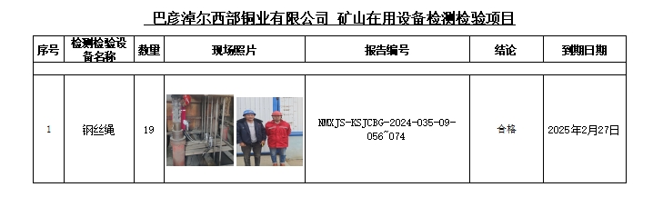 巴彦淖尔西部铜业有限公司公示.jpg
