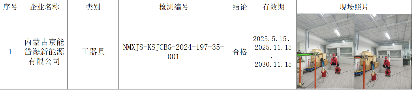 内蒙古京能岱海新能源有限公司.邱伟.2024.11.25.png