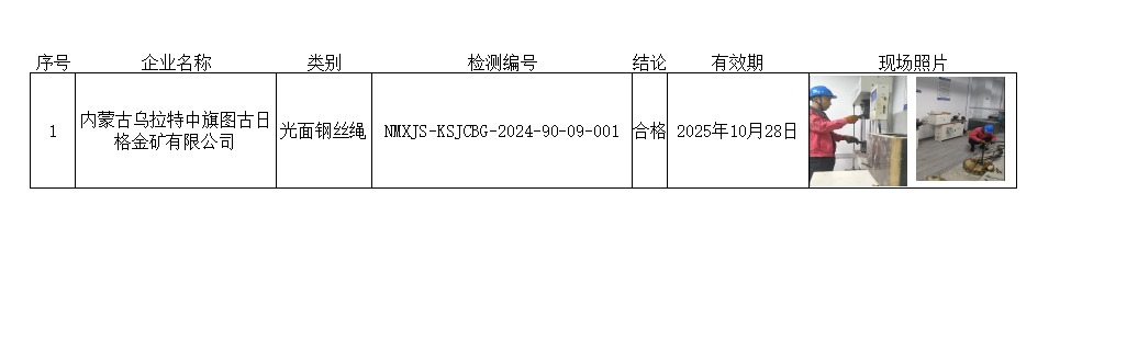 内蒙古乌拉特中旗图古日格金矿有限公司.jpg