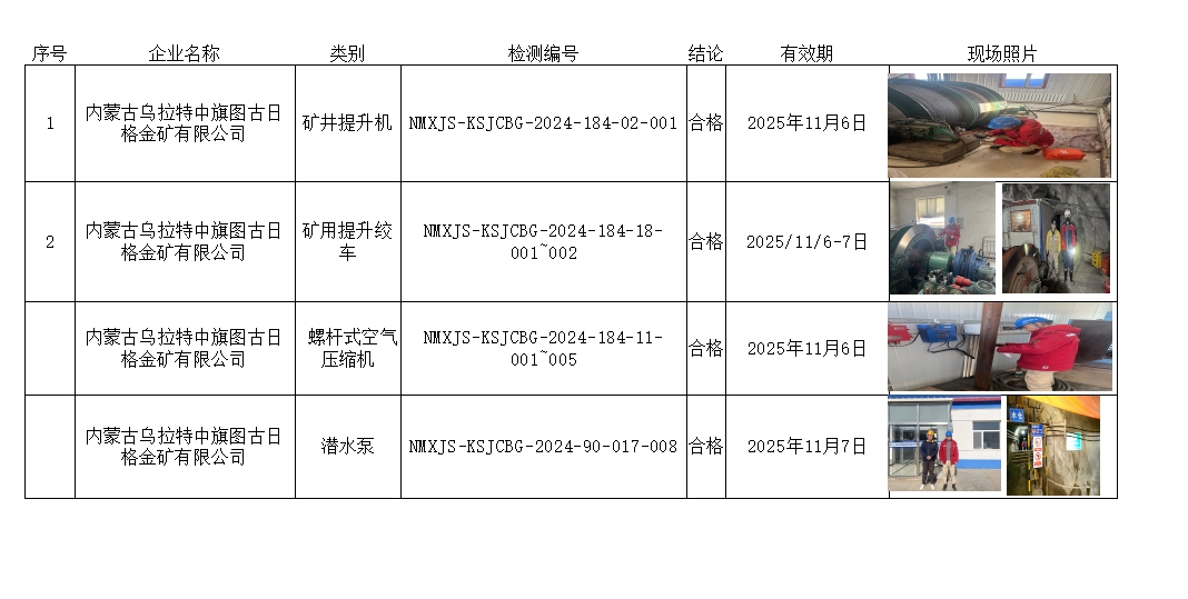 内蒙古乌拉特中旗图古日格金矿有限公司1.jpg