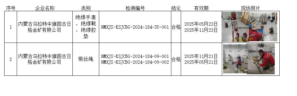 内蒙古乌拉特中旗图古日格金矿有限公司.jpg