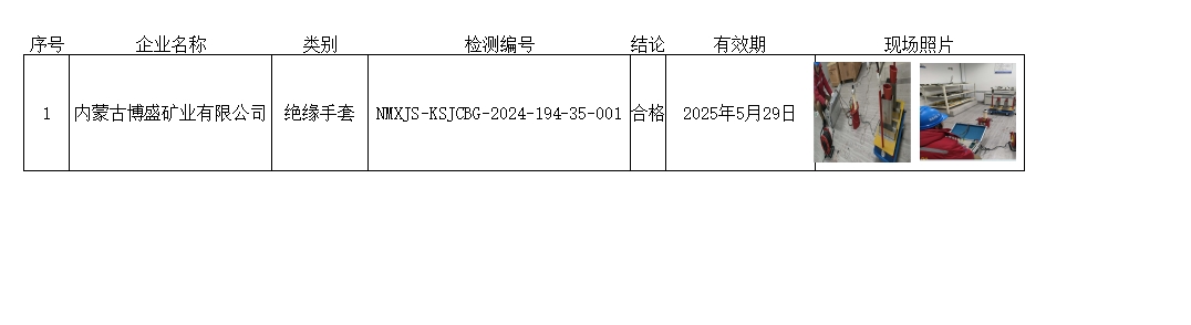 内蒙古博盛矿业有限公司.jpg