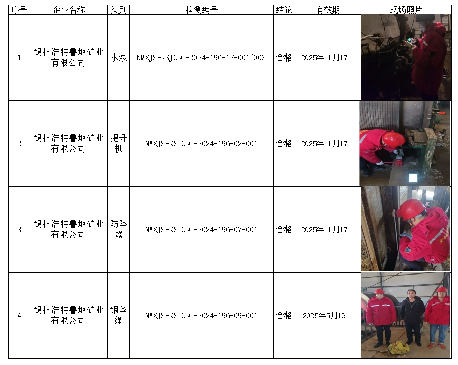 锡林浩特鲁地矿业有限公司 2024.11.19 马牧笛.jpg