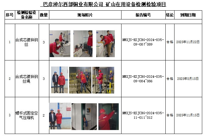 巴彦淖尔西部铜业有限公司公示.jpg