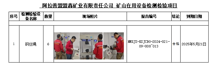 阿拉善盟盟鑫矿业有限责任公司公示.jpg