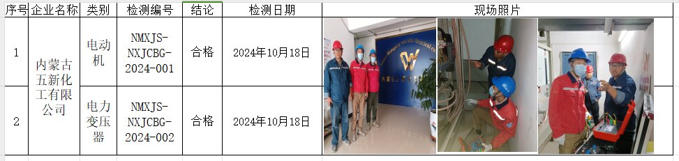 内蒙古五新化工有限公司节能监测.jpg