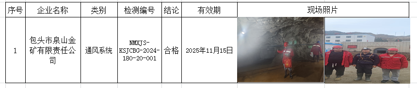 2024.11.20包头市泉山金矿有限责任公司.png