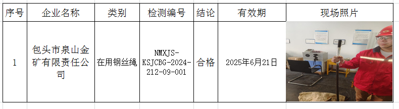 2024.12.24包头市泉山金矿有限责任公司.png