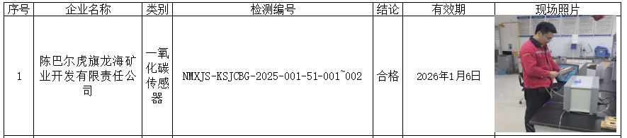 公示  陈巴尔虎旗龙海矿业开发有限公司 2025.1.06马牧笛.jpg