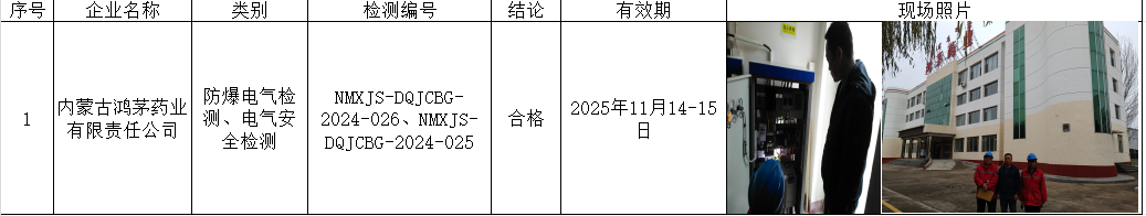 内蒙古鸿茅药业有限责任公司电气、防爆，邱伟，2025.3.20.png