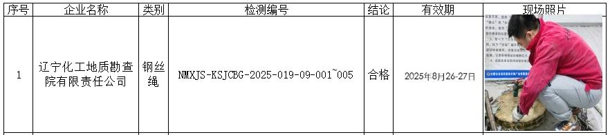 公示 辽宁化工地址勘察院有限责任公司.jpg