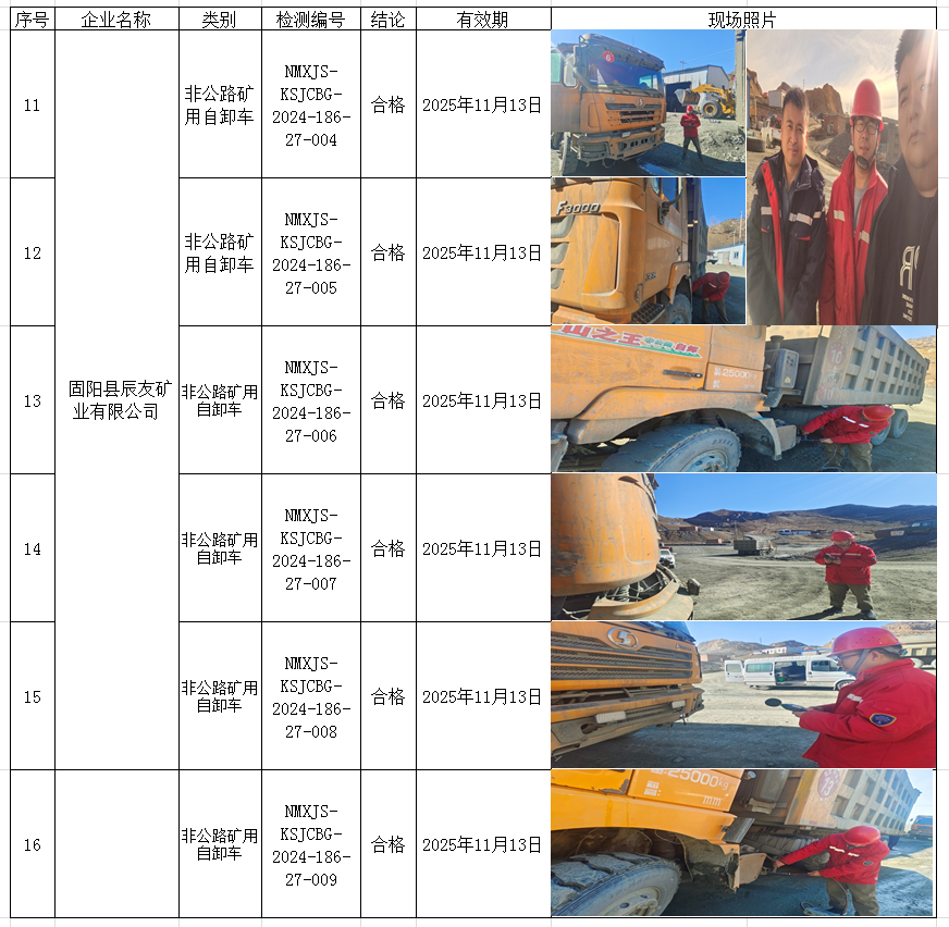 2024.11.16固阳县辰友矿业有限公司3.png