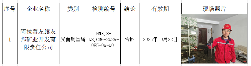 2025.4.29阿拉善左旗友邦矿业开发有限责任公司.jpg