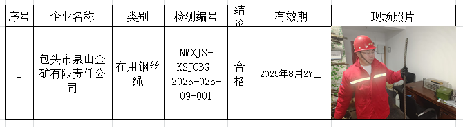 2025.02.28包头市泉山金矿有限责任公司.png