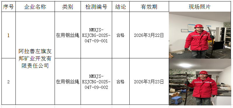 2024.03.26阿拉善左旗友邦矿业开发有限责任公司.png
