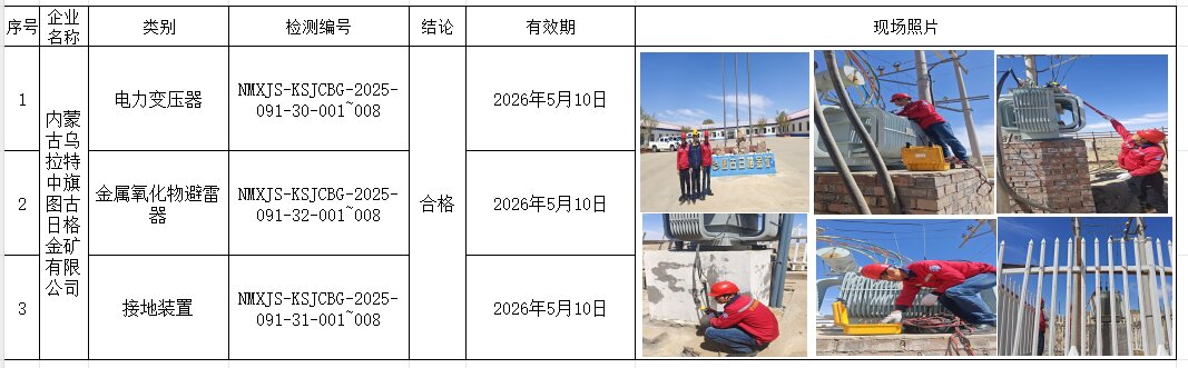 内蒙古乌拉特中旗图古日格金矿有限公司.jpg