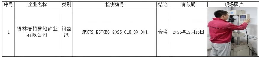公示 锡林浩特鲁地矿业有限公司 马牧笛 2025.6.18(1).jpg