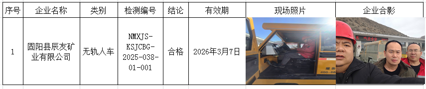2025.03.08固阳县辰友矿业有限公司.png