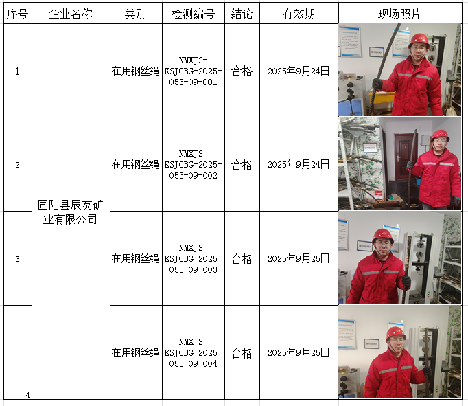 2025.03.24固阳县辰友矿业有限公司1.png