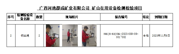 广西河池都成矿业有限公司公示.jpg