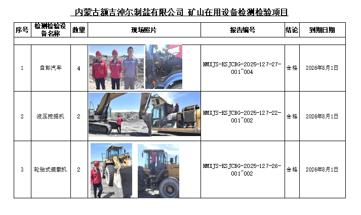 内蒙古额吉淖尔制盐有限公司公示.jpg