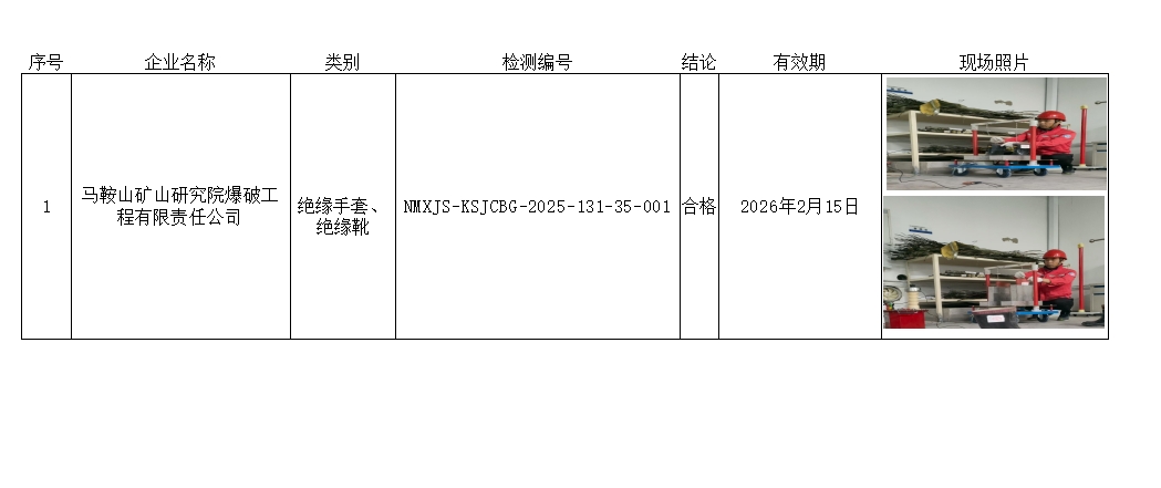 马鞍山矿山研究院爆破工程有限责任公司.jpg